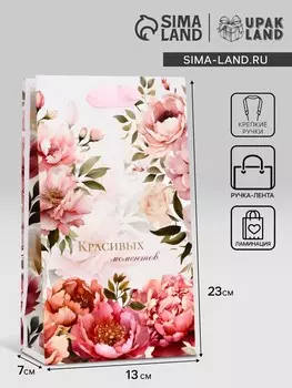 Пакет подарочный ламинированный