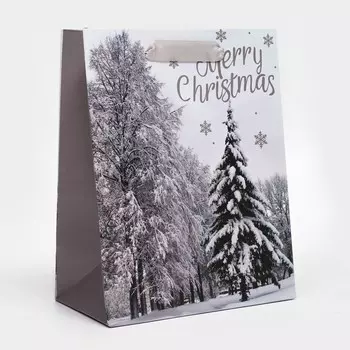 Пакет подарочный, ламинированный,