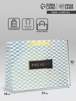 Пакет подарочный ламинированный горизонтальный