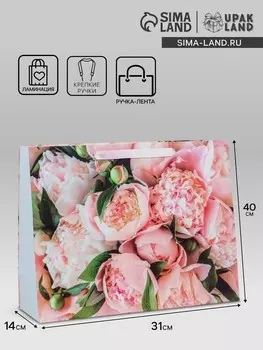 Пакет подарочный ламинированный горизонтальный