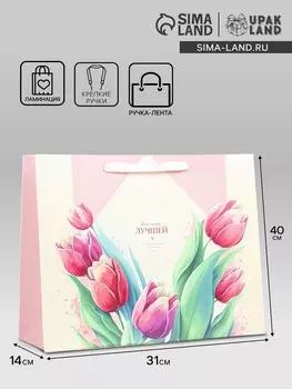 Пакет подарочный ламинированный горизонтальный