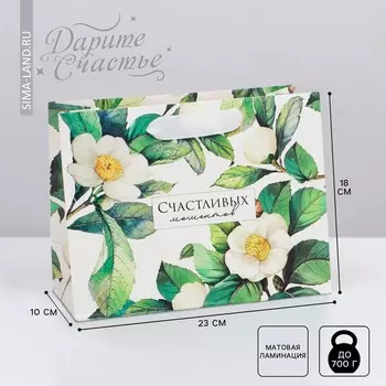 Пакет подарочный ламинированный горизонтальный, упаковка,