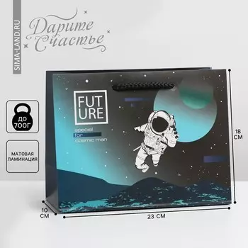 Пакет подарочный ламинированный горизонтальный, упаковка,