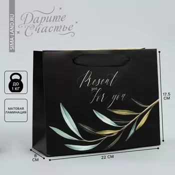 Пакет подарочный ламинированный горизонтальный, упаковка,