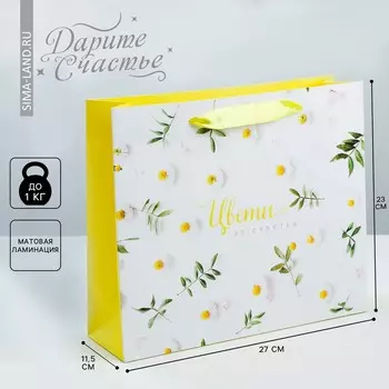 Пакет подарочный ламинированный горизонтальный, упаковка,