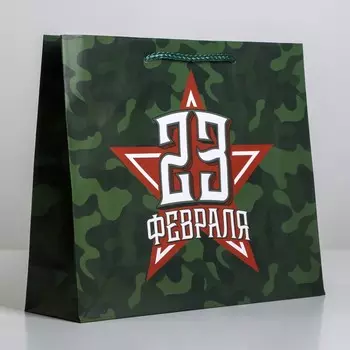 Пакет подарочный ламинированный горизонтальный, упаковка,