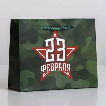 Пакет подарочный ламинированный горизонтальный, упаковка,