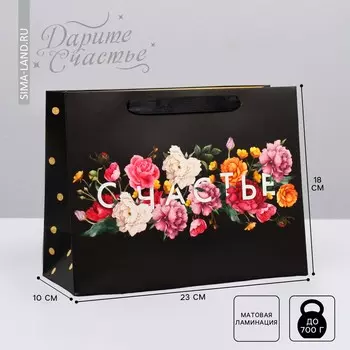 Пакет подарочный ламинированный горизонтальный, упаковка,