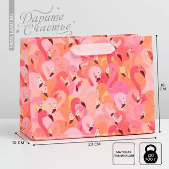 Пакет подарочный ламинированный горизонтальный, упаковка,