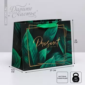 Пакет подарочный ламинированный горизонтальный, упаковка,