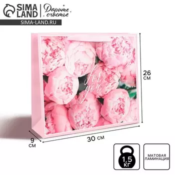 Пакет подарочный ламинированный горизонтальный, упаковка,