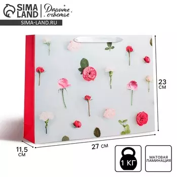 Пакет подарочный ламинированный горизонтальный, упаковка,