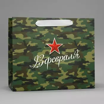 Пакет подарочный ламинированный горизонтальный, упаковка,