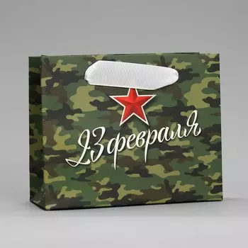 Пакет подарочный ламинированный горизонтальный, упаковка,