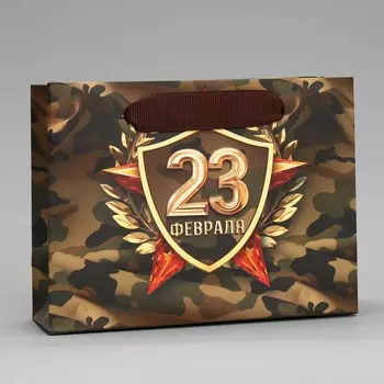 Пакет подарочный ламинированный горизонтальный, упаковка,