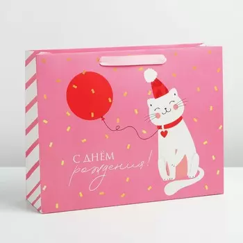 Пакет подарочный ламинированный горизонтальный, упаковка,