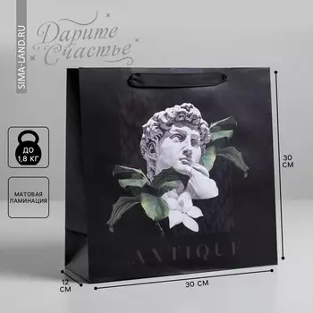 Пакет подарочный ламинированный квадратный, упаковка,