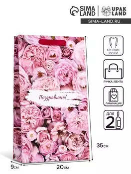 Пакет подарочный ламинированный под две бутылки