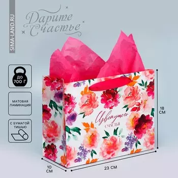 Пакет подарочный ламинированный с тишью, упаковка,