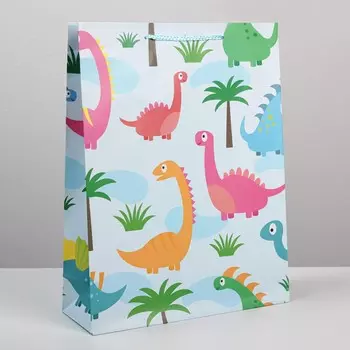 Пакет подарочный ламинированный, упаковка,