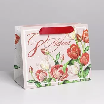 Пакет подарочный ламинированный, упаковка,