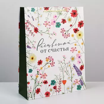 Пакет подарочный ламинированный, упаковка,