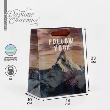 Пакет подарочный ламинированный, упаковка,