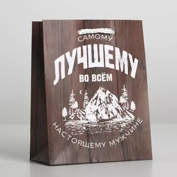 Пакет подарочный ламинированный, упаковка,