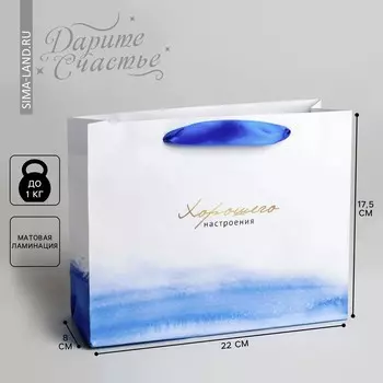 Пакет подарочный ламинированный, упаковка,