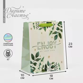 Пакет подарочный ламинированный, упаковка,