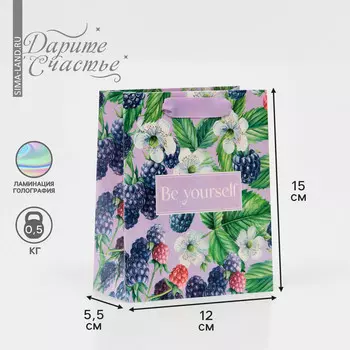 Пакет подарочный ламинированный, упаковка,