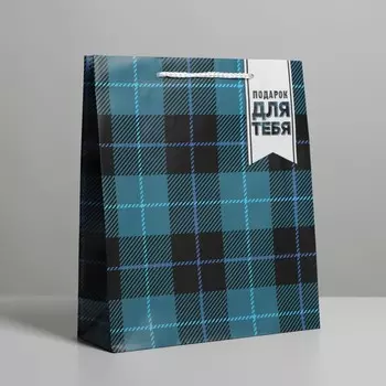Пакет подарочный ламинированный, упаковка,