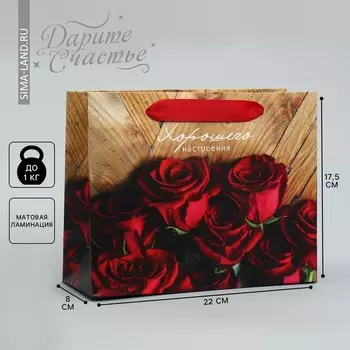 Пакет подарочный ламинированный, упаковка,