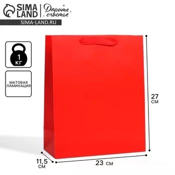 Пакет подарочный ламинированный, упаковка,