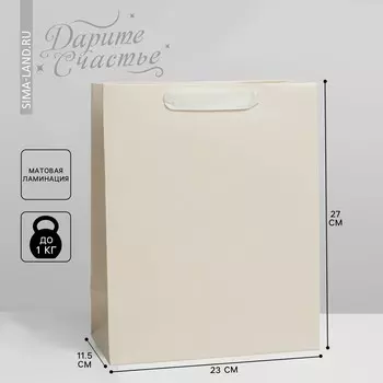 Пакет подарочный ламинированный, упаковка,