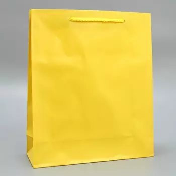 Пакет подарочный ламинированный, упаковка,