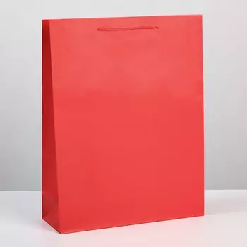 Пакет подарочный ламинированный, упаковка,