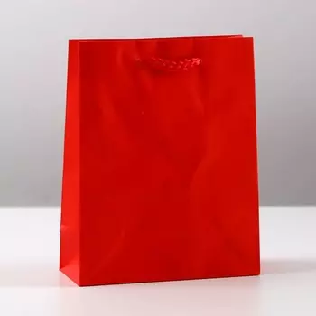 Пакет подарочный ламинированный, упаковка,