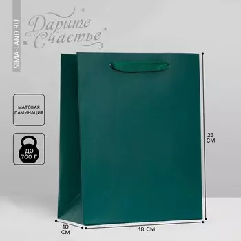 Пакет подарочный ламинированный, упаковка,