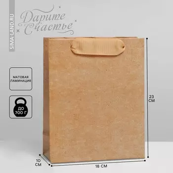 Пакет подарочный ламинированный, упаковка,