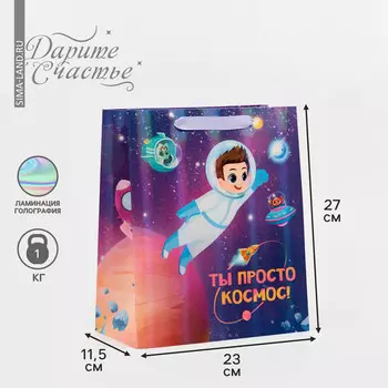 Пакет подарочный ламинированный, упаковка,