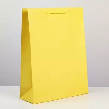 Пакет подарочный ламинированный, упаковка,