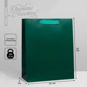 Пакет подарочный ламинированный, упаковка,