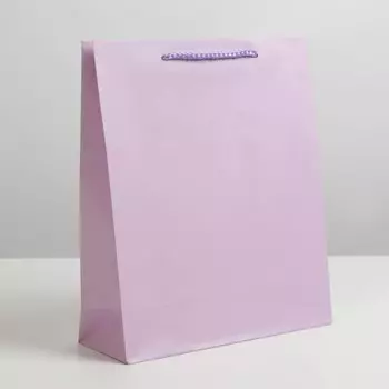 Пакет подарочный ламинированный, упаковка,