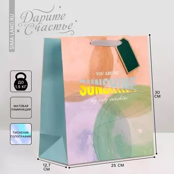 Пакет подарочный ламинированный, упаковка,