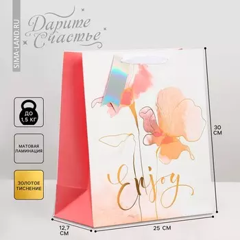 Пакет подарочный ламинированный, упаковка,