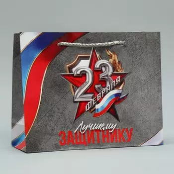 Пакет подарочный ламинированный, упаковка,