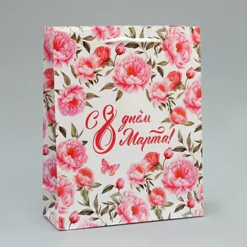 Пакет подарочный ламинированный, упаковка,