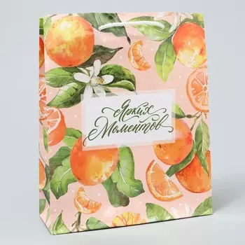 Пакет подарочный ламинированный, упаковка,