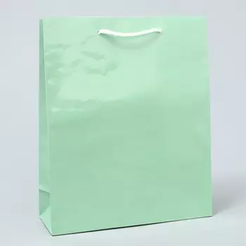 Пакет подарочный ламинированный, упаковка,